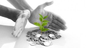 شهادات الإدارة المالية