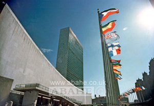 شهادات العلاقات الدولية