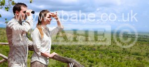 استشاري إدارة سياحية